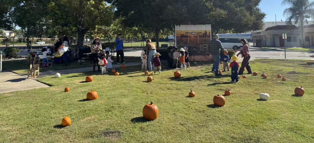 halloween pumpkin patch 2